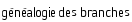 généalogie des branches
